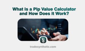 What is a Pip Value Calculator